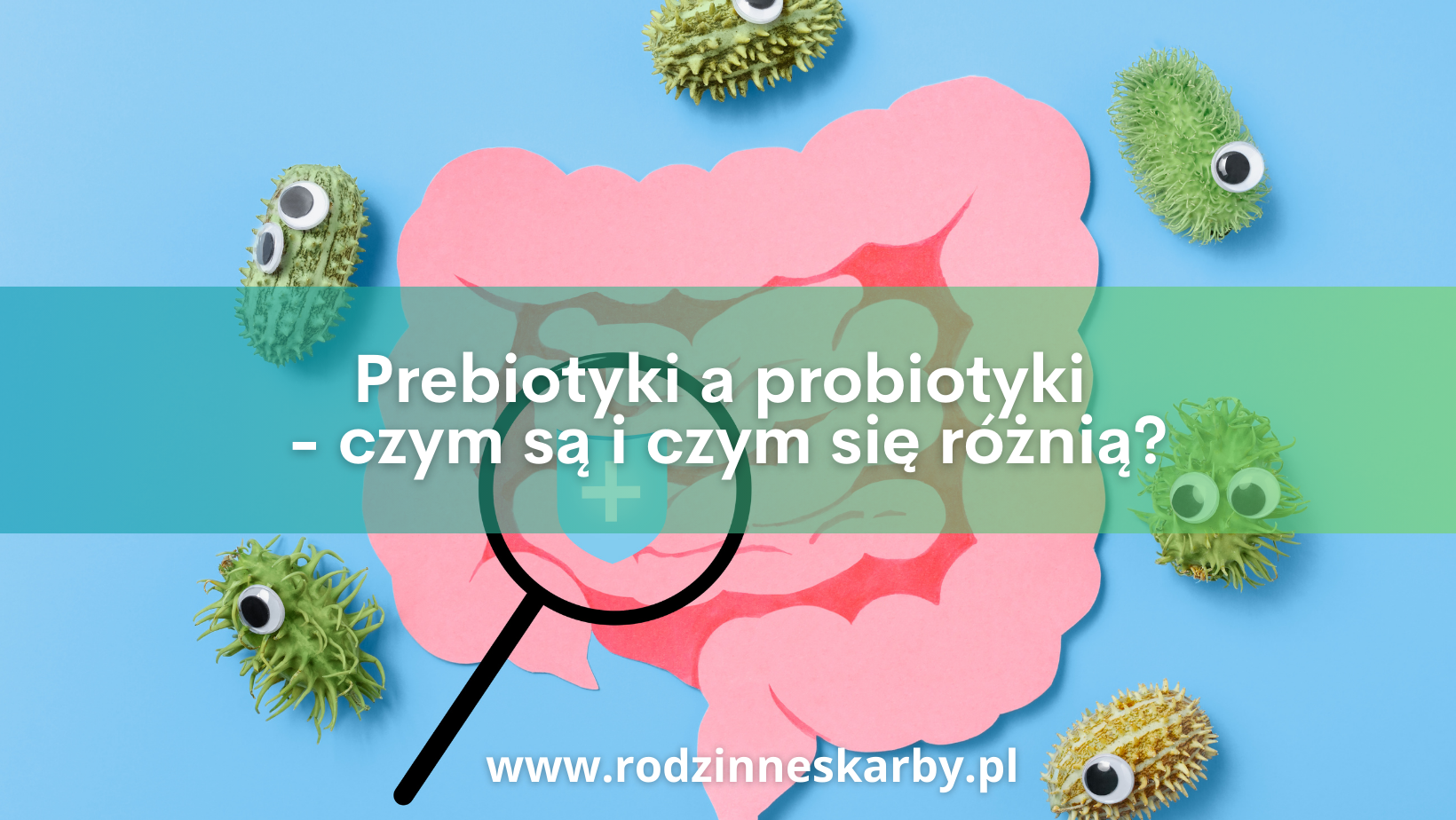 prebiotyki a probiotyki czym sa i czym sie roznia