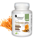 kordyceps cordyceps maczuznik chinski 400 mg 90 kaps vege aliness