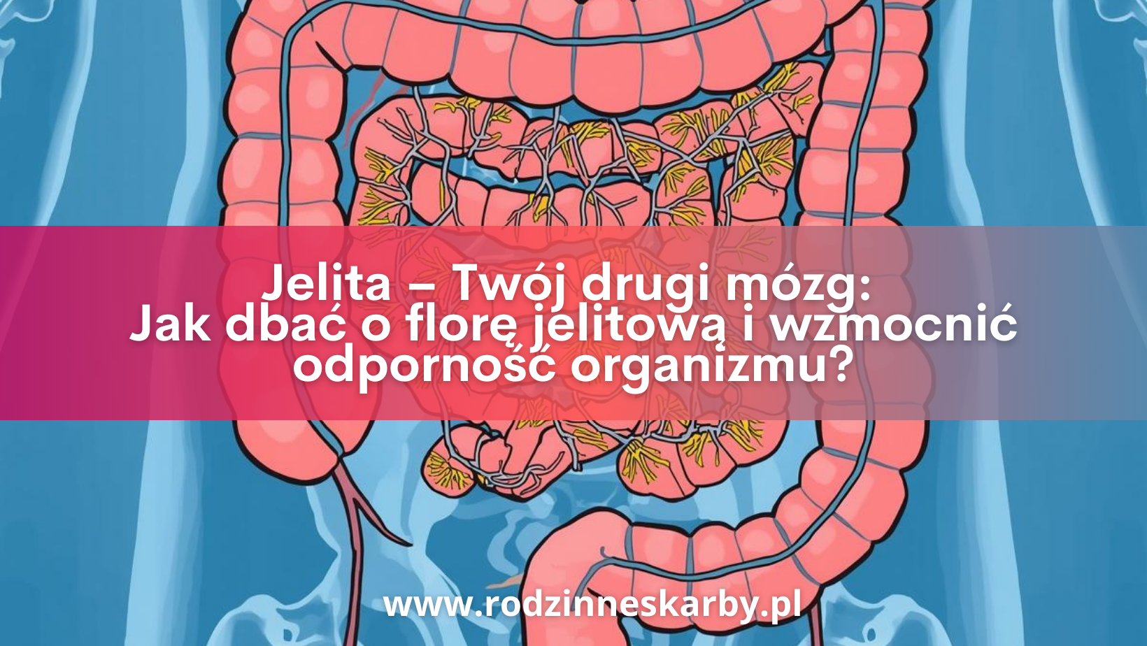 jelita twoj drugi mozg jak dbac o flore jelitowa i wzmocnic odpornosc organizmu