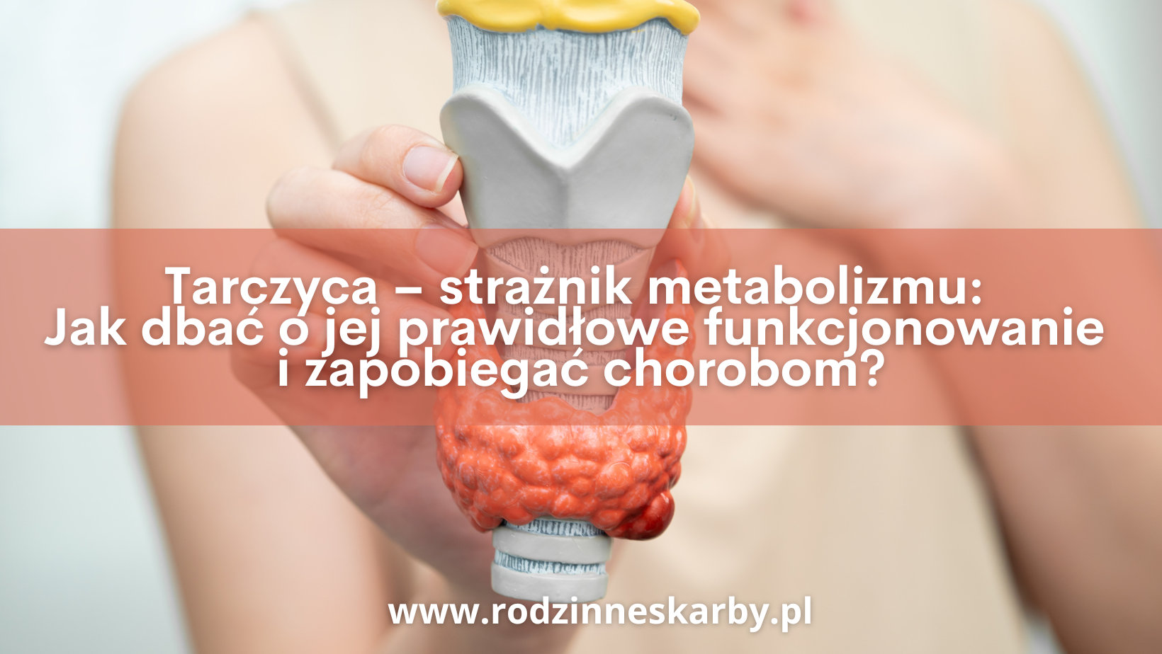 Tarczyca – strażnik metabolizmu: Jak dbać o jej prawidłowe funkcjonowanie i zapobiegać chorobom?