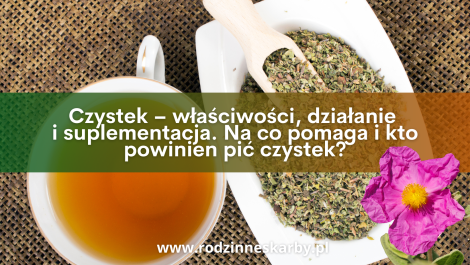 czystek wlasciwosci dzialanie i suplementacja na co pomaga i kto powinien pic czystek