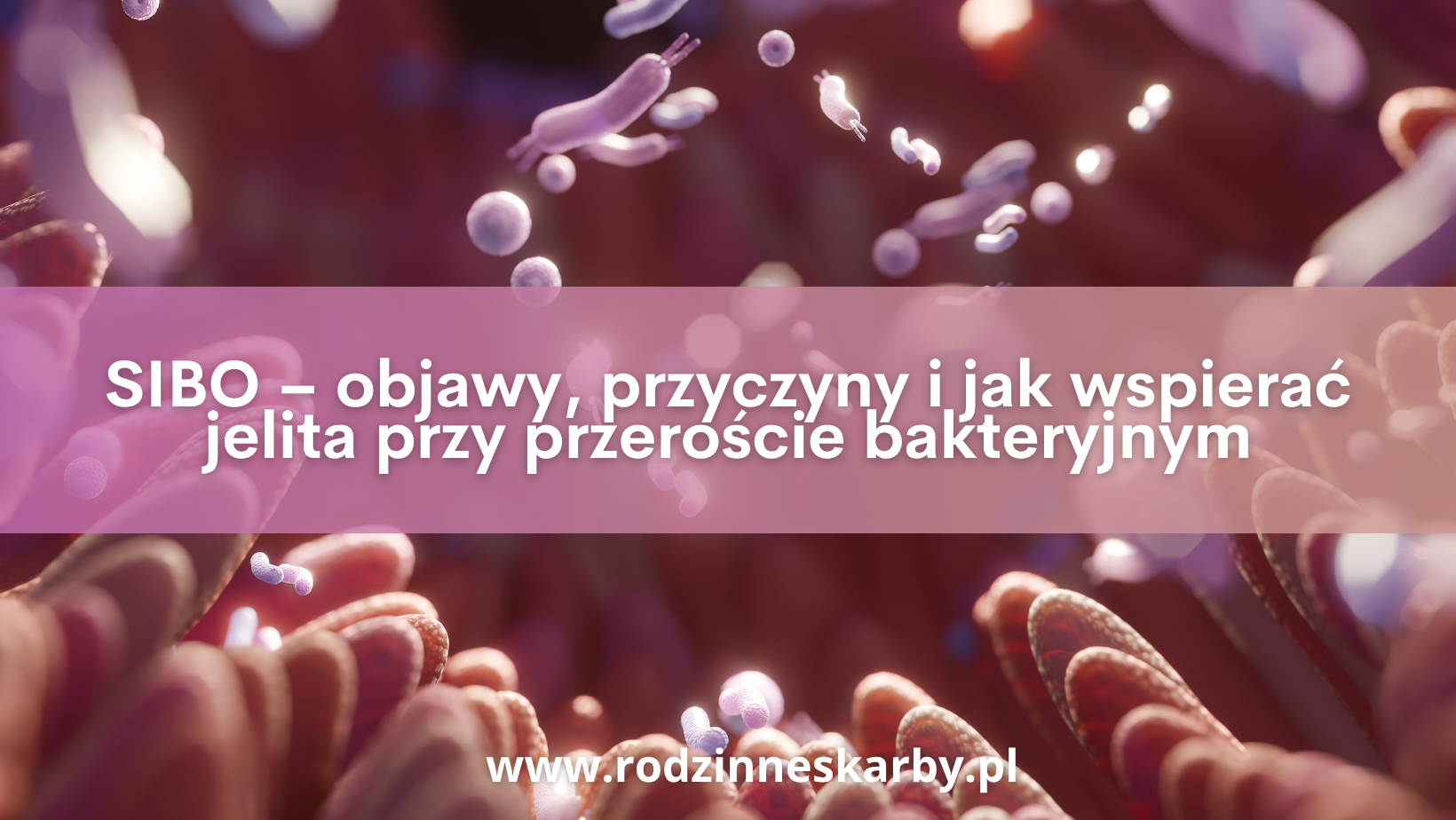 SIBO – objawy, przyczyny i jak wspierać jelita przy przeroście bakteryjnym